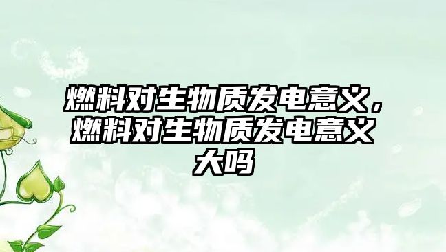 燃料對生物質發(fā)電意義，燃料對生物質發(fā)電意義大嗎