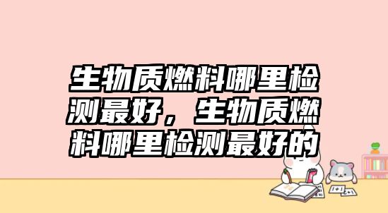 生物質(zhì)燃料哪里檢測最好，生物質(zhì)燃料哪里檢測最好的